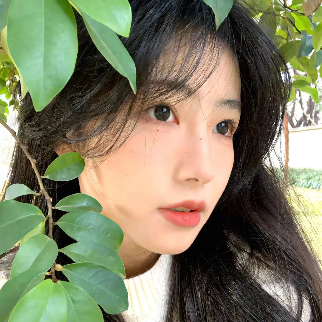 明月几时有国语